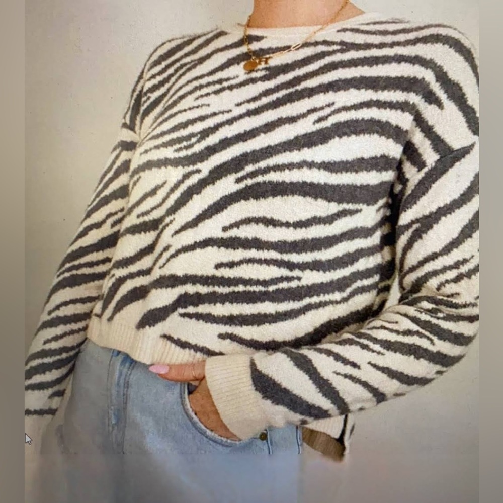 Yes/Lola Anthropologie Zebra Sweater